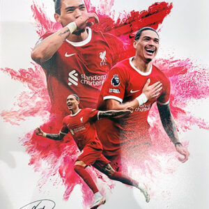 Beautiful designed montage photo of Liverpool FC fan favourite, Darwin Nunez.