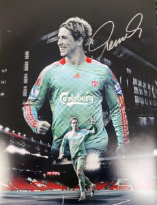 Fernando Torres signed montage photo
