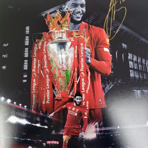 Joe Gomez signed montage photo