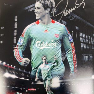 Fernando Torres signed montage photo