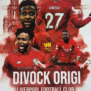 Origi signed 16x12 Montage photo