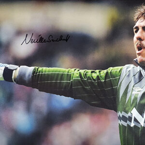 Signed Neville Southall 12x8 Photograph