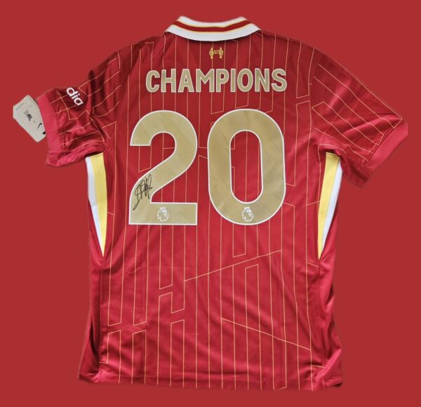 CHAMPION 20